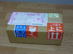 101025sTiz.jpg