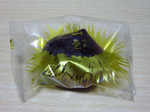 101106sTiRƕ.jpg